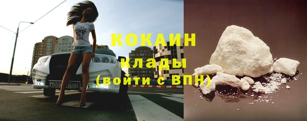 прущие грибы Новодвинск