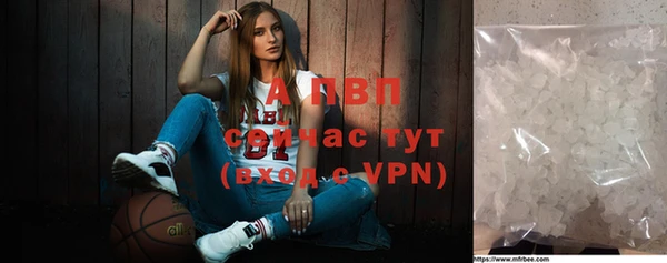 прущие грибы Новодвинск