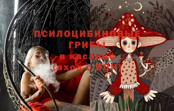 прущие крисы Бабаево