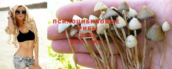 соль курить ск Нея